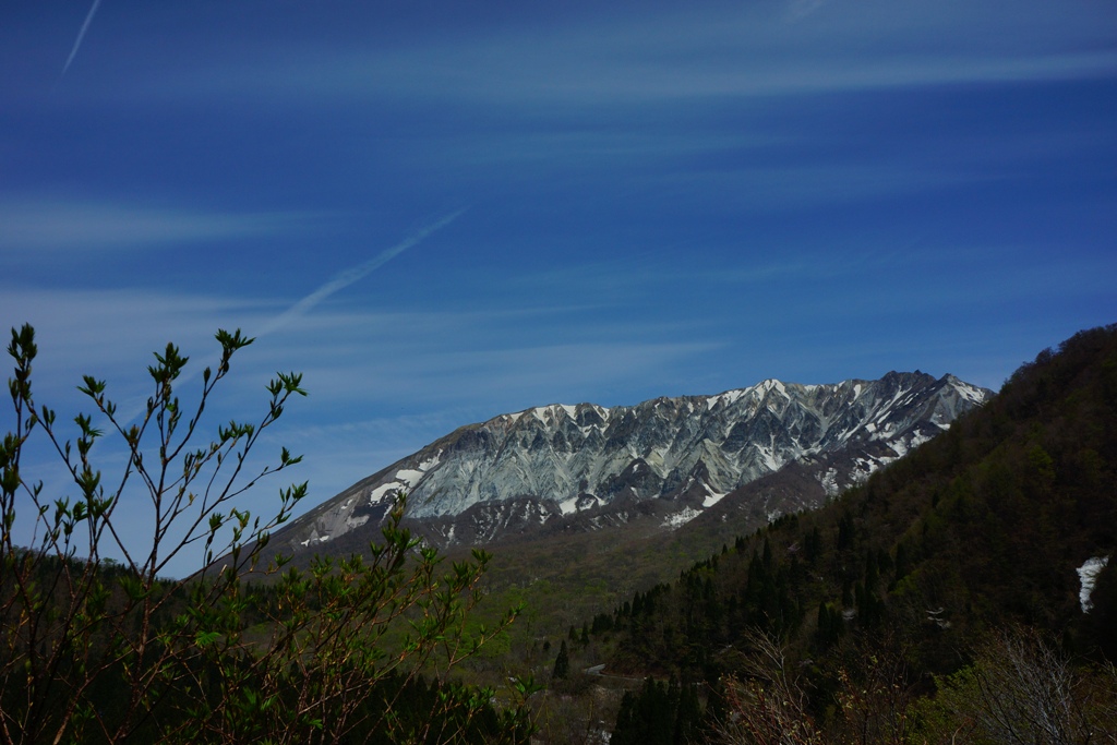 e0223456_8431129.jpg