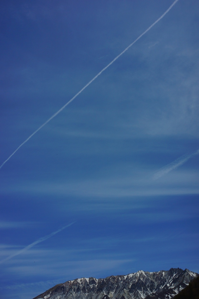e0223456_8433488.jpg
