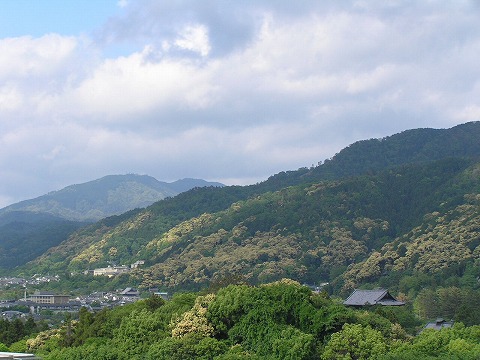 b0145863_1759196.jpg