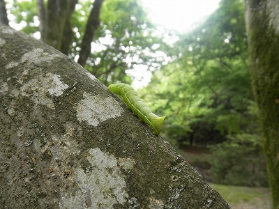 f0057070_2043490.jpg