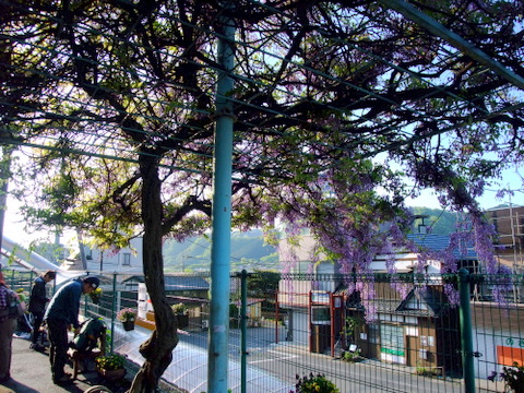 a0043982_4531841.jpg