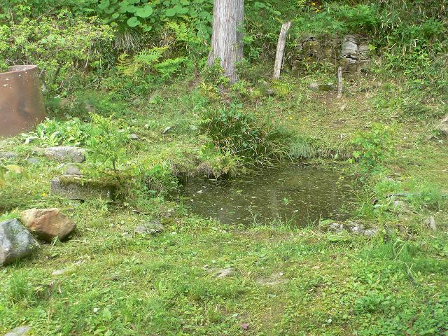 b0042882_15262182.jpg
