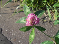 f0235289_15581818.jpg