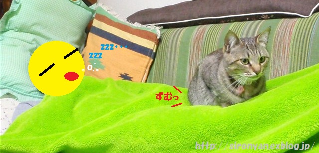 a0159490_16301041.jpg