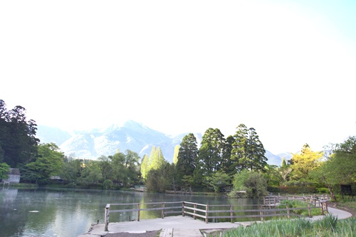 e0229992_1210225.jpg