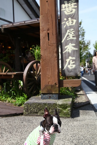 e0229992_17253246.jpg