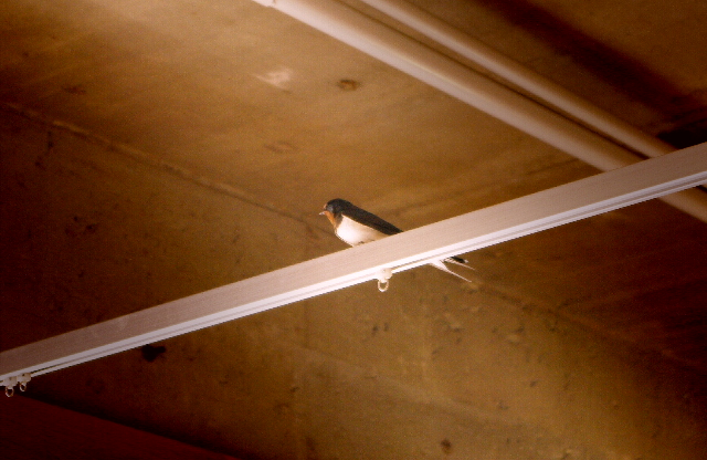 d0246595_1311051.jpg
