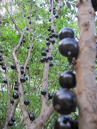 b0028299_21563438.jpg