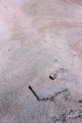 d0153799_22204390.jpg