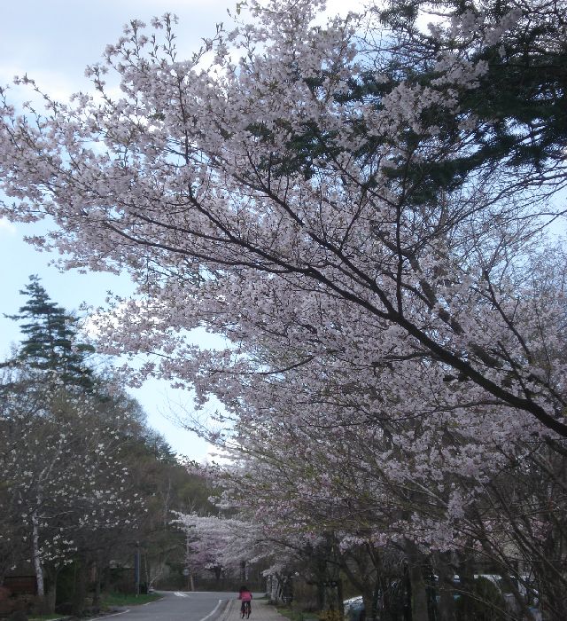 b0148106_9462328.jpg