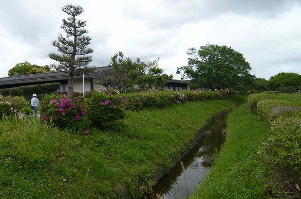 f0221708_1612591.jpg