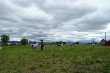 f0221708_1661083.jpg