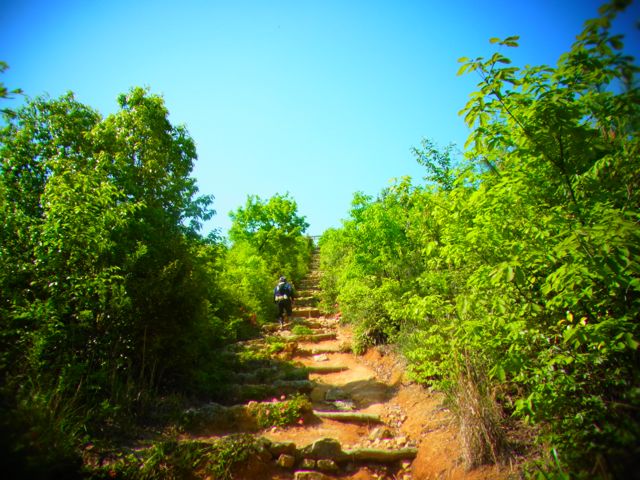 b0183911_05090.jpg