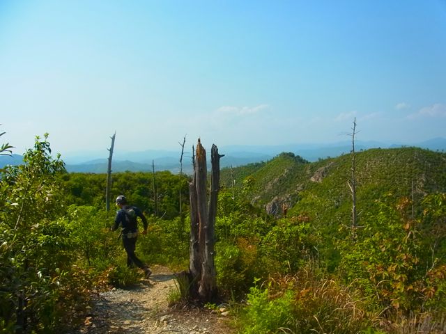 b0183911_055432.jpg