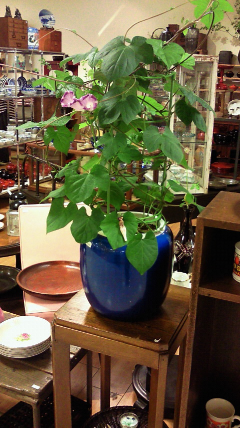 c0201311_2035888.jpg