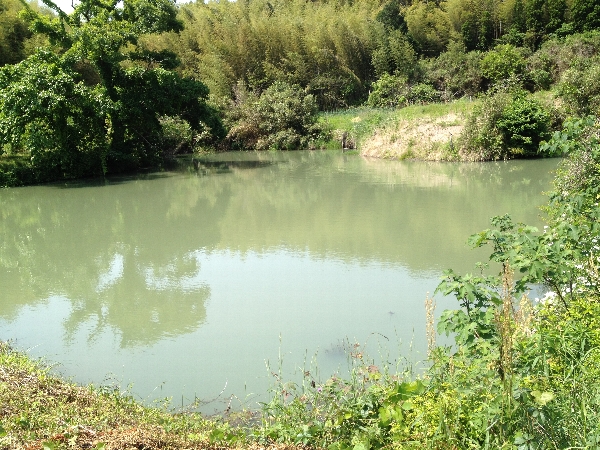 e0002314_20282586.jpg