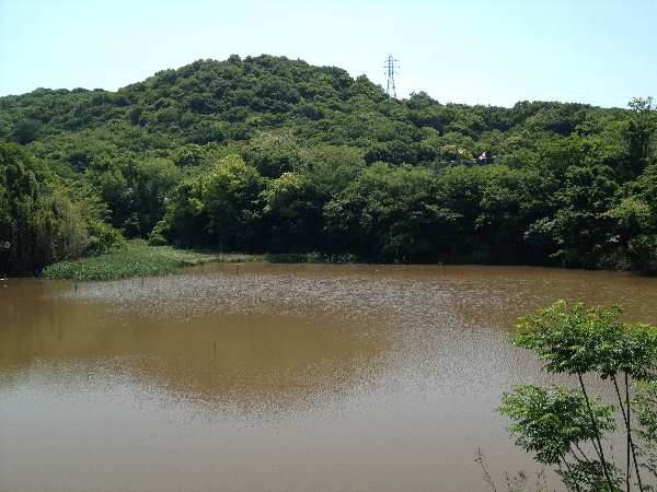 e0002314_20312527.jpg