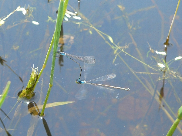 e0002314_20335150.jpg