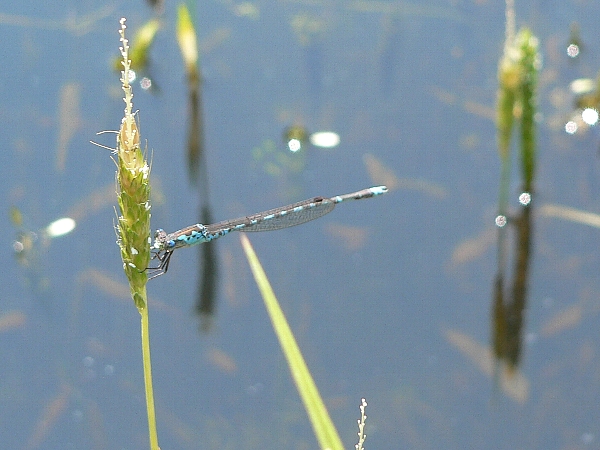 e0002314_2034562.jpg