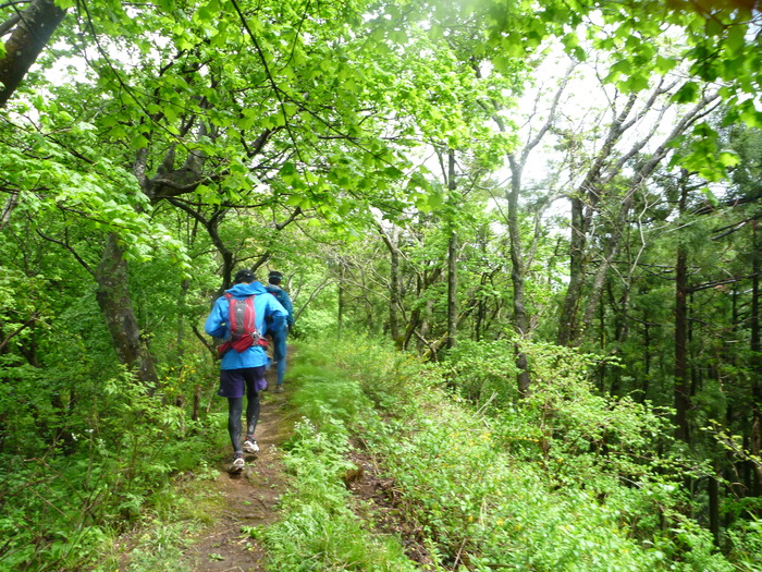 f0225414_016082.jpg