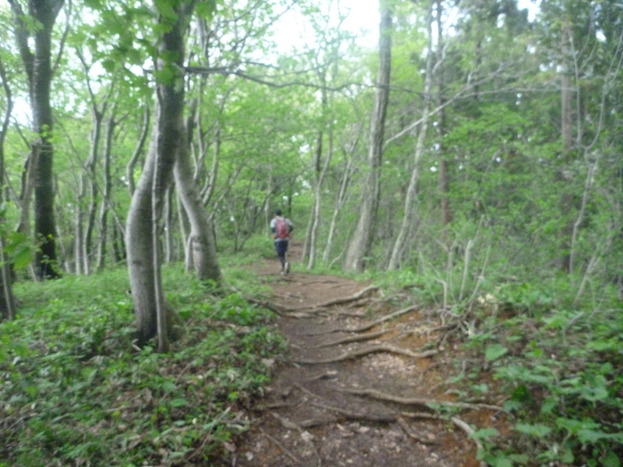 f0225414_1032399.jpg