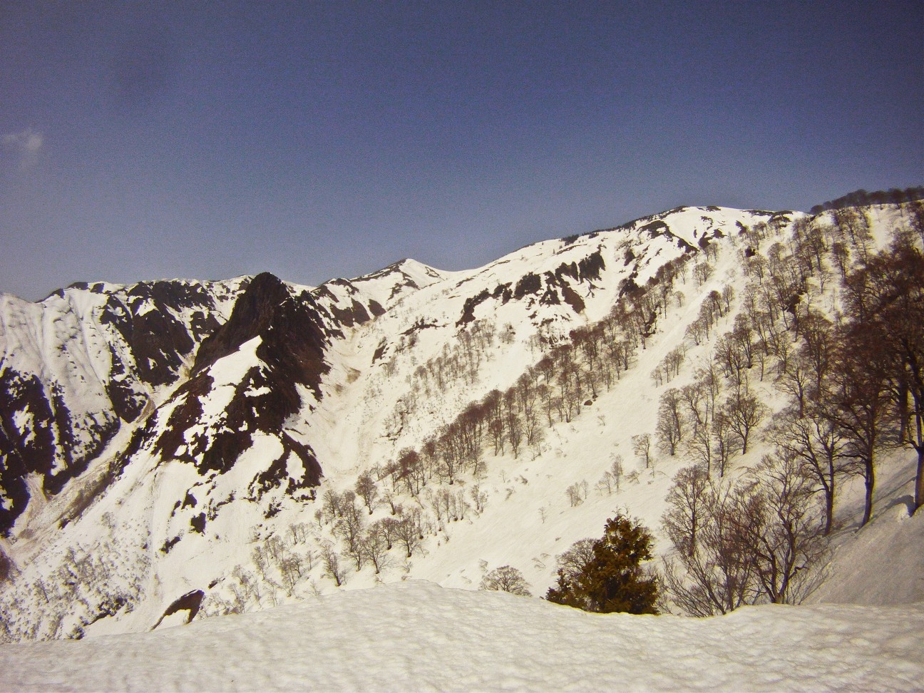 b0221020_23164472.jpg