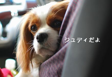 f0214121_2201317.jpg