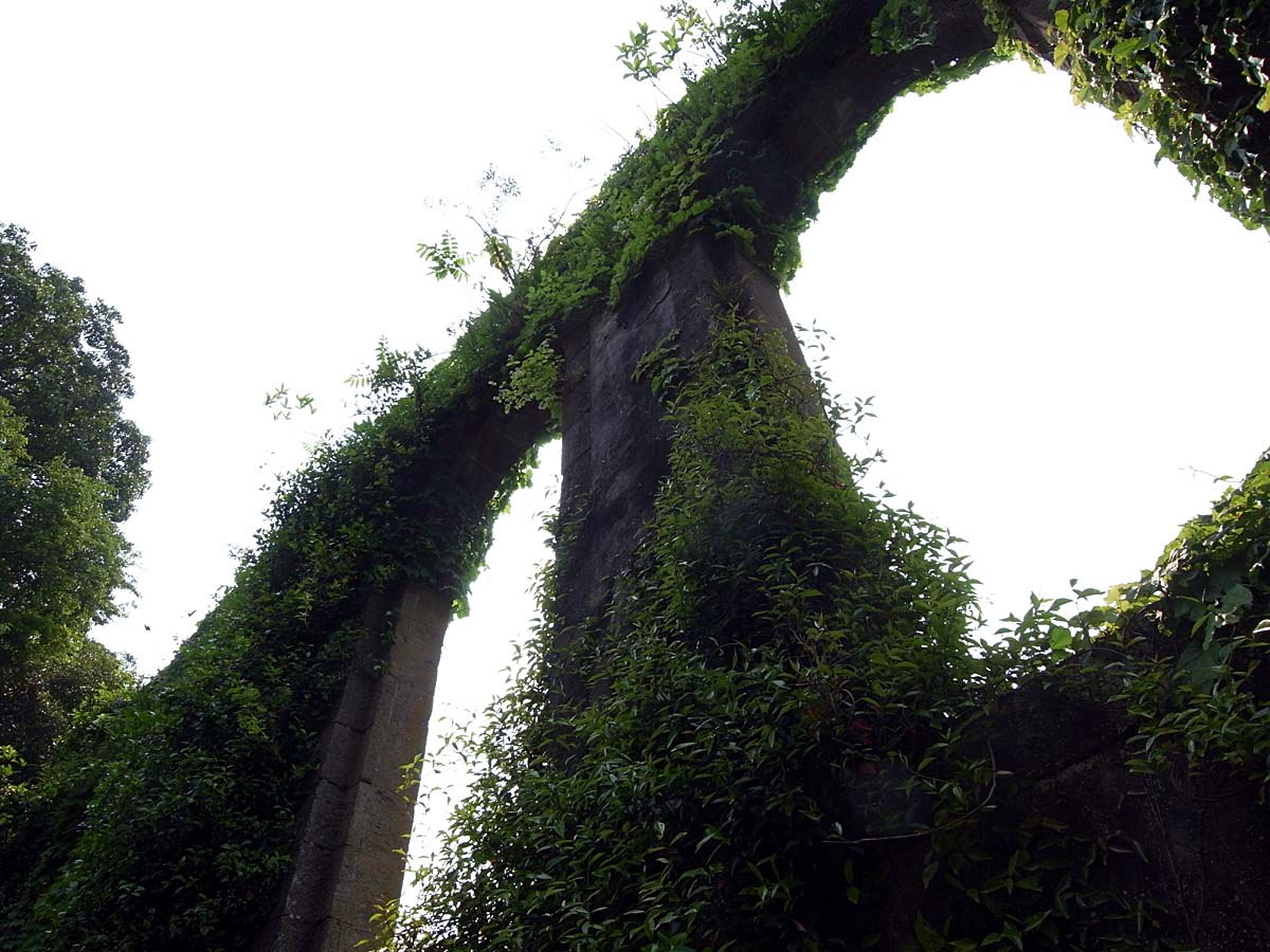 d0032222_2335504.jpg