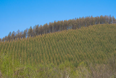 e0025030_856093.jpg