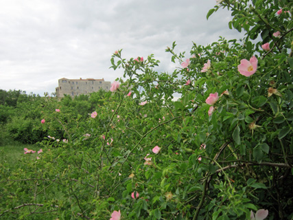 f0234936_8224789.jpg