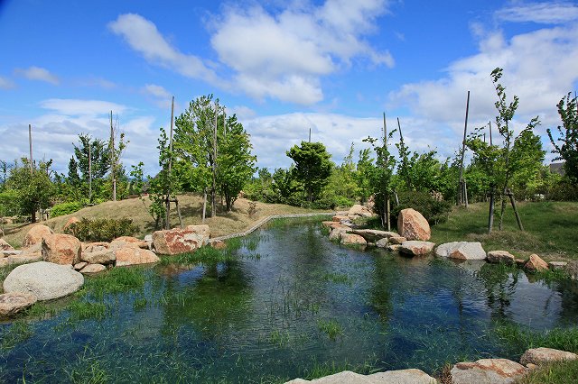 a0242438_19494119.jpg