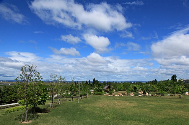 a0242438_19504115.jpg