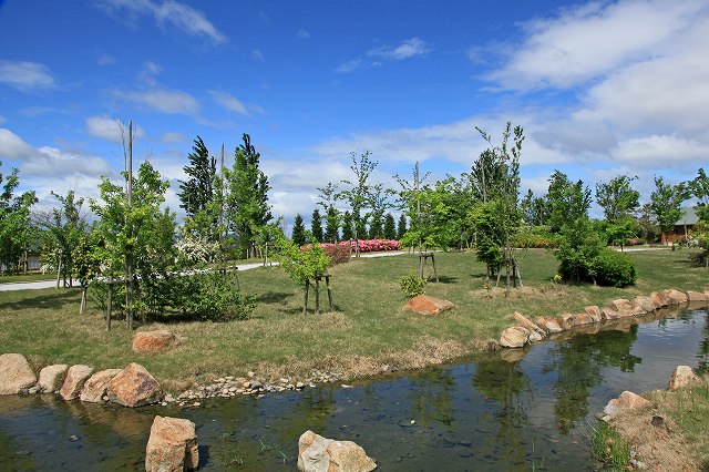 a0242438_195298.jpg