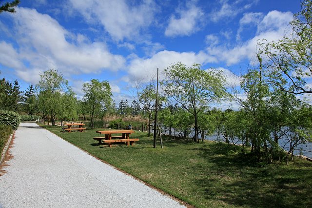 a0242438_19531314.jpg