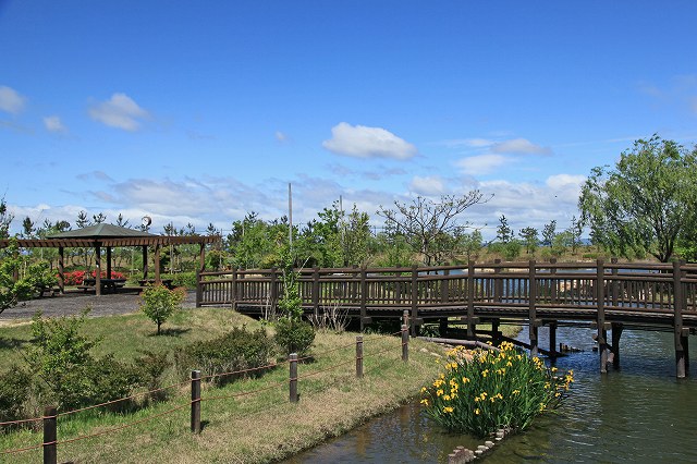 a0242438_19535560.jpg