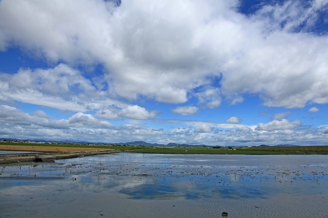 a0242438_19552470.jpg