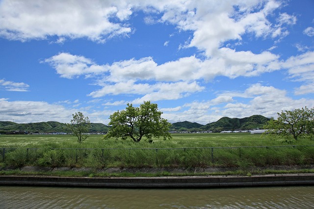 a0242438_19562763.jpg