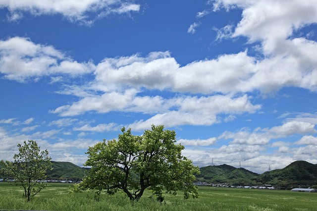 a0242438_19565157.jpg