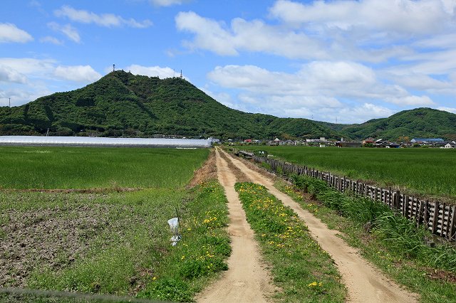 a0242438_1957627.jpg