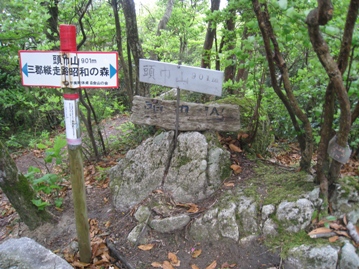 c0077338_813856.jpg