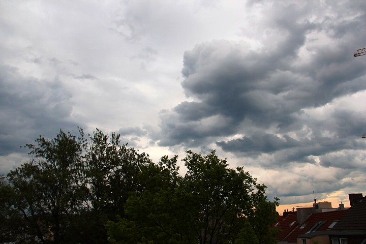 c0153740_1185086.jpg