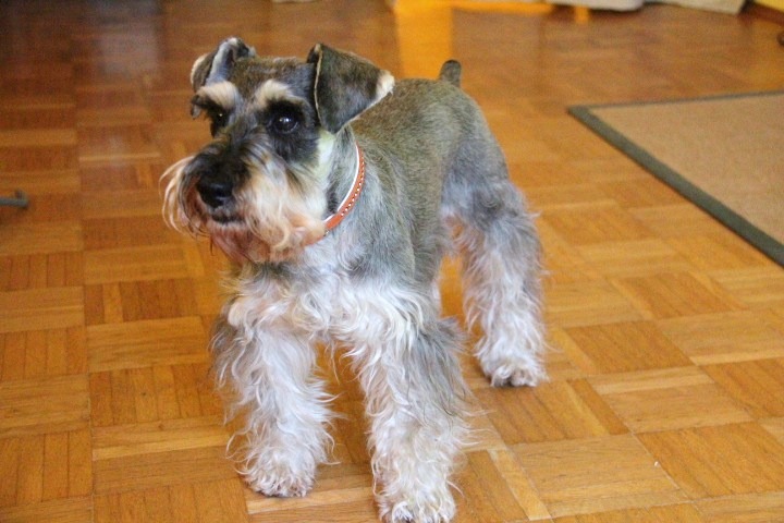 c0153740_1193566.jpg