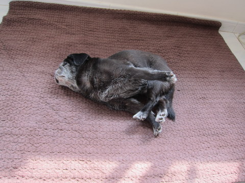 e0018143_027123.jpg