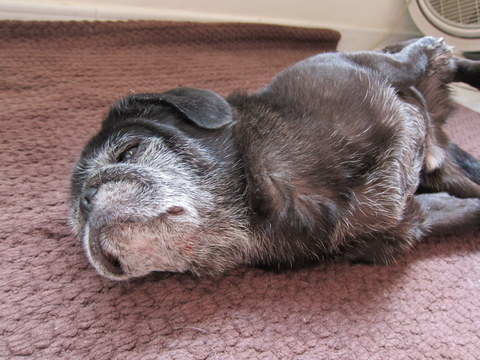 e0018143_0273990.jpg