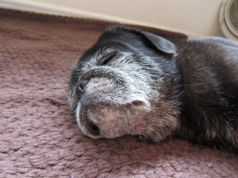 e0018143_0282314.jpg