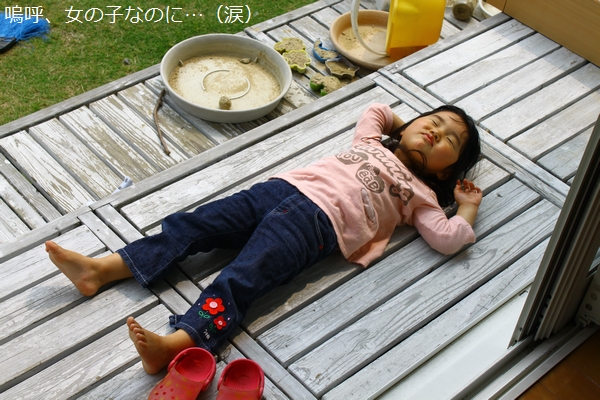 a0090451_17275.jpg