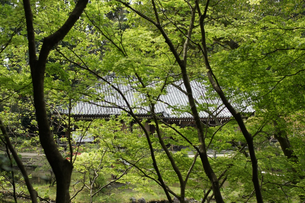 e0259451_11235940.jpg