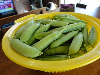 f0046854_22192728.jpg