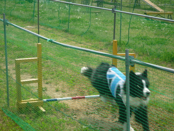 a0157156_20422964.jpg