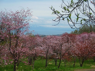 e0004756_21515093.jpg